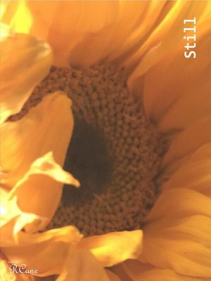 cover image of Still
